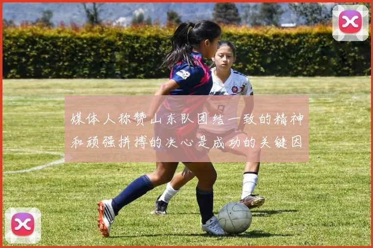 媒体人称赞山东队团结一致的精神和顽强拼搏的决心是成功的关键因素