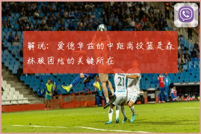解说：爱德华兹的中距离投篮是森林狼团结的关键所在