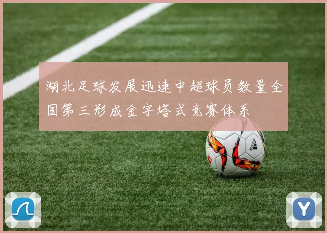 湖北足球发展迅速中超球员数量全国第三形成金字塔式竞赛体系