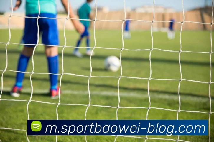 宝威体育APP 封面图